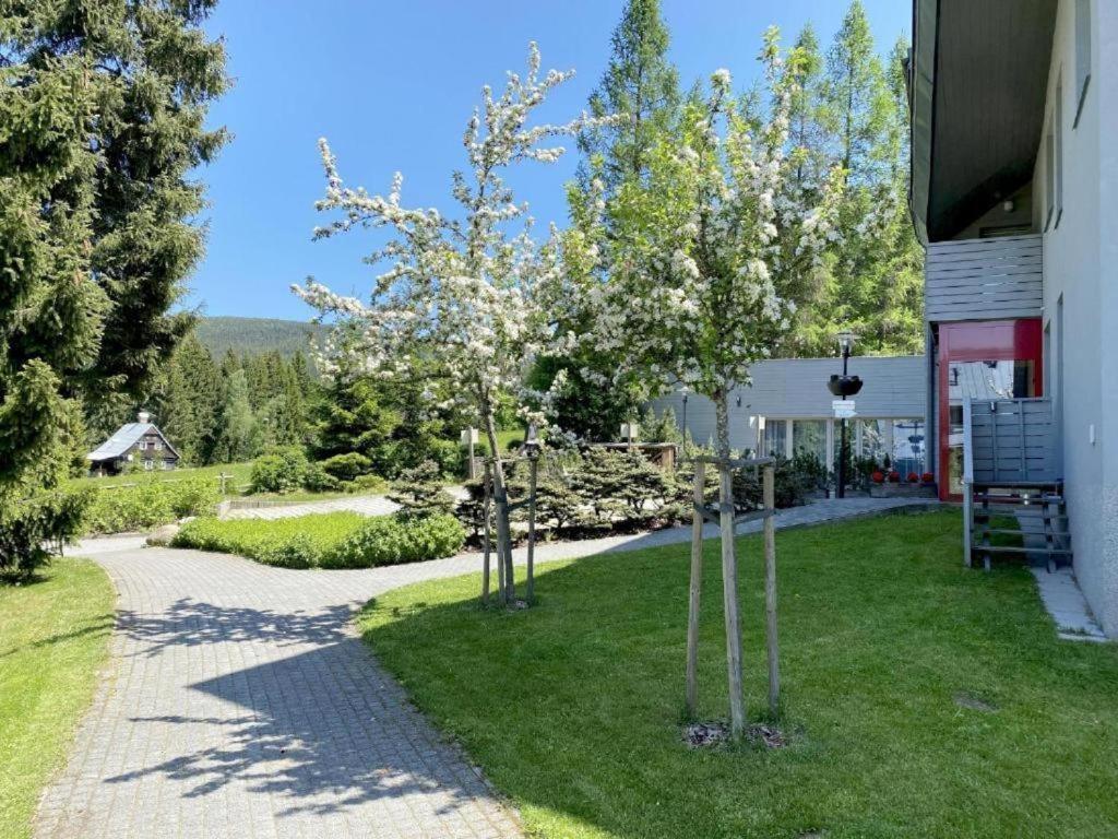 Horsky Apartman 1+Kk V Relaxacnim Prostredi Anenskeho Udoli Appartamento Harrachov Esterno foto